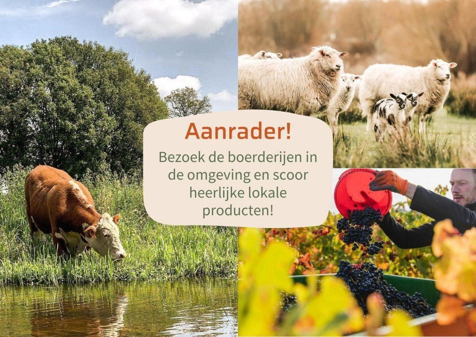 Vakantiepark Hoelte Rijssen Exterior foto